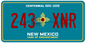 243XNR  license plate in NM