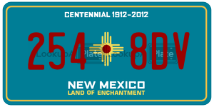 2548DV  license plate in NM