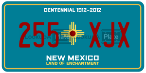 255XJX  license plate in NM