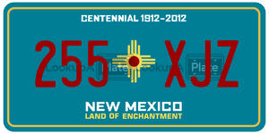 255XJZ  license plate in NM