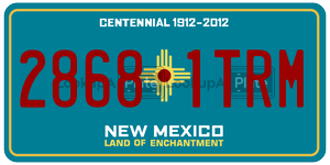 28681TRM  license plate in NM
