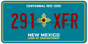291XFR  license plate in NM