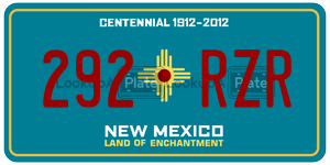 292RZR  license plate in NM