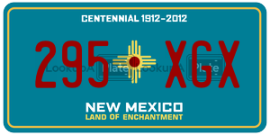 295XGX  license plate in NM