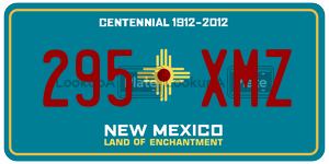 295XMZ  license plate in NM
