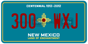 300WXJ  license plate in NM