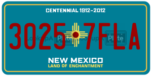 30257FLA  license plate in NM