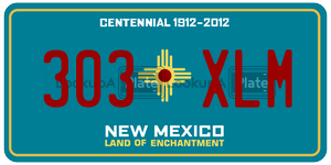 303XLM  license plate in NM