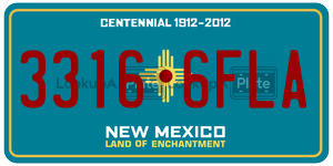 33166FLA  license plate in NM
