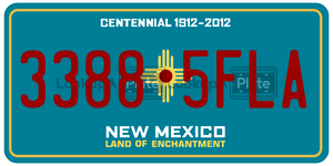 33885FLA  license plate in NM