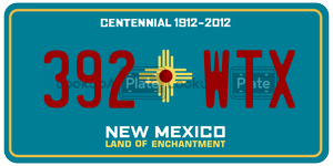 392WTX  license plate in NM