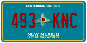 493KNC license plate in New Mexico