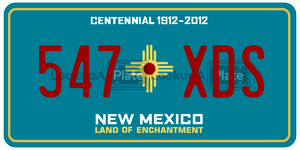 547XDS  license plate in NM
