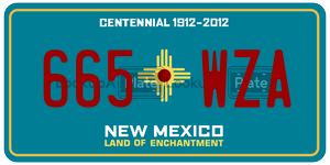 665WZA  license plate in NM