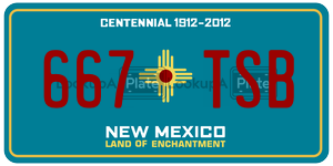 667TSB  license plate in NM