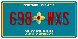 698WXS  license plate in NM