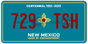 729TSH  license plate in NM