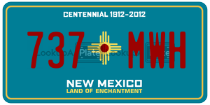 737MWH  license plate in NM
