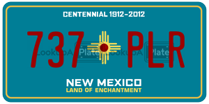 737PLR  license plate in NM