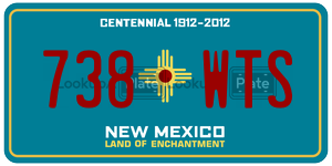 738WTS  license plate in NM