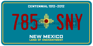 785SNY  license plate in NM
