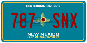 787SNX  license plate in NM