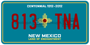 813TNA  license plate in NM