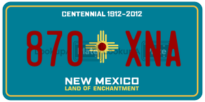 870XNA  license plate in NM