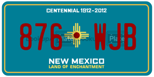 876WJB  license plate in NM