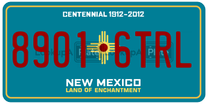 89016TRL  license plate in NM