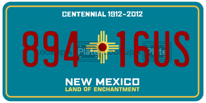 89416US  license plate in NM