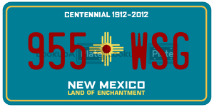 955WSG license plate in New Mexico