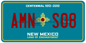 AMNS08  license plate in NM