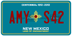 AMYS42  license plate in NM