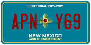 APNY69  license plate in NM