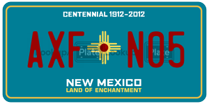AXFN05  license plate in NM