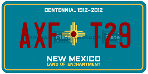 AXFT29  license plate in NM