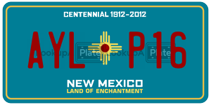 AYLP16  license plate in NM