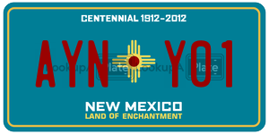 AYNY01  license plate in NM