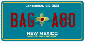 BAGA80  license plate in NM