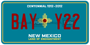 BAYY22  license plate in NM