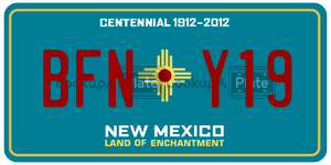 BFNY19  license plate in NM