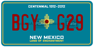 BGYG29  license plate in NM