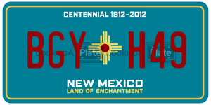 BGYH49  license plate in NM