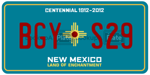 BGYS29  license plate in NM