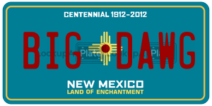 BIGDAWG  license plate in NM