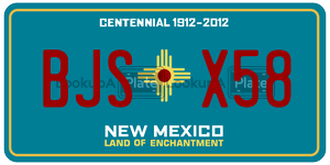 BJSX58  license plate in NM