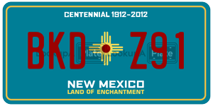 BKDZ91  license plate in NM
