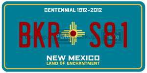 BKRS81  license plate in NM