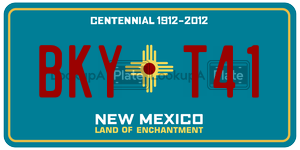 BKYT41  license plate in NM